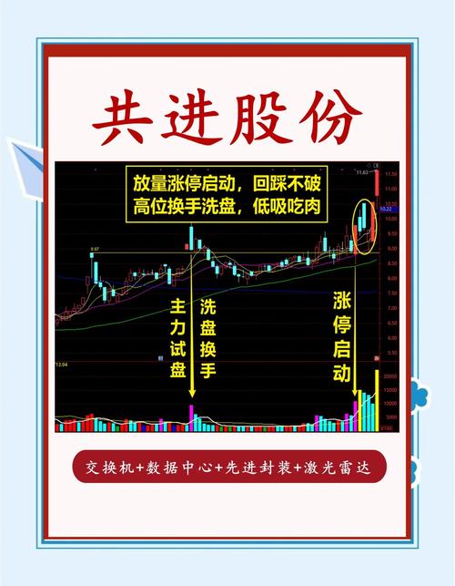 共进股份2025年第一季度开局良好 净利润同比增长267.63%