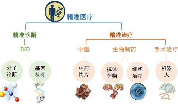 大型长读长RNA测序数据集发布,有助制定精准诊疗策略