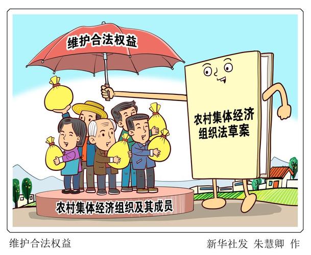 事关广大农民利益,农村集体经济组织法5月1日起施行